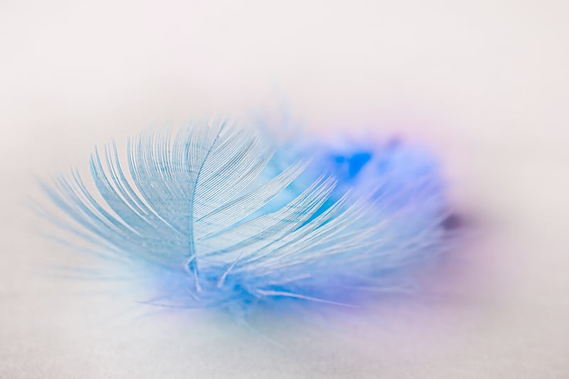 Feather of Peace