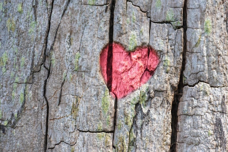 Loving-Kindness Heart